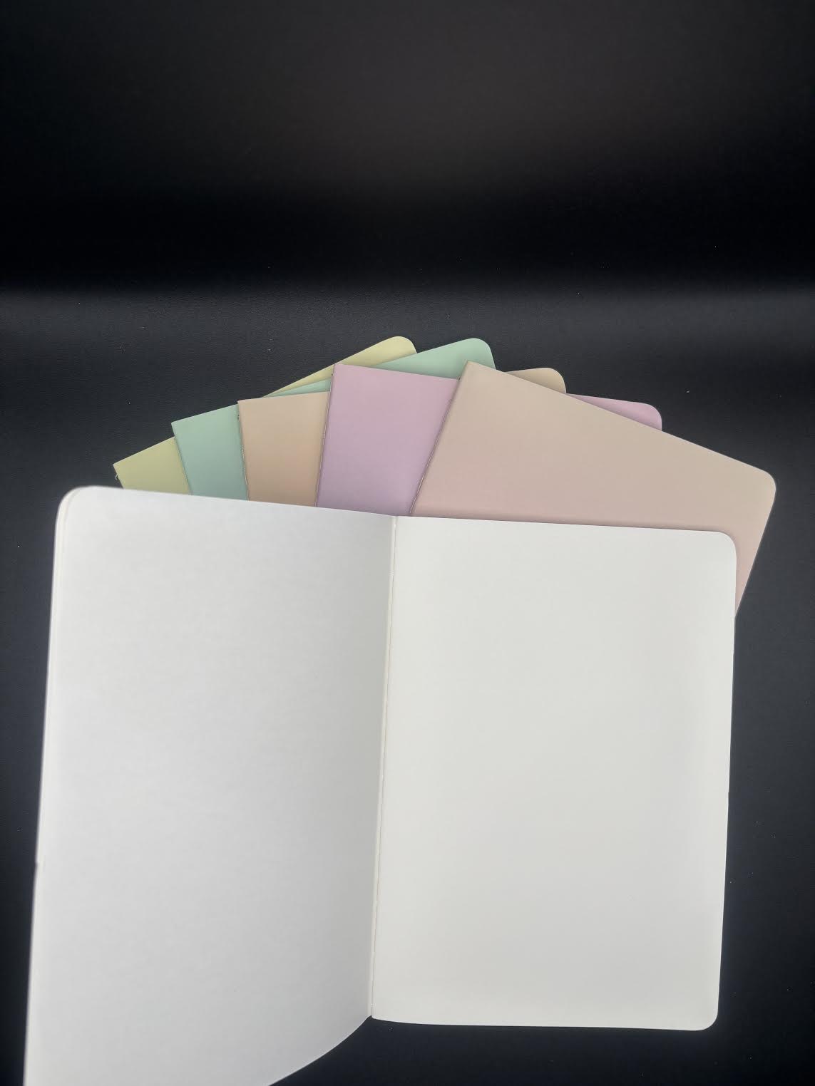 SCRAPBOOK/STICKER BOOK