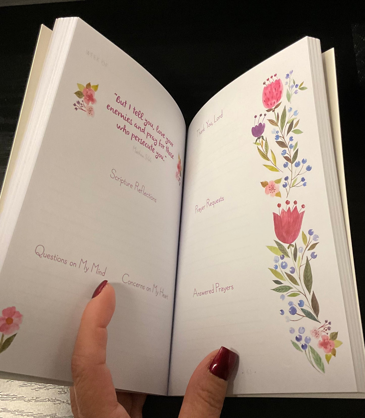 PRAYING WOMANS JOURNAL