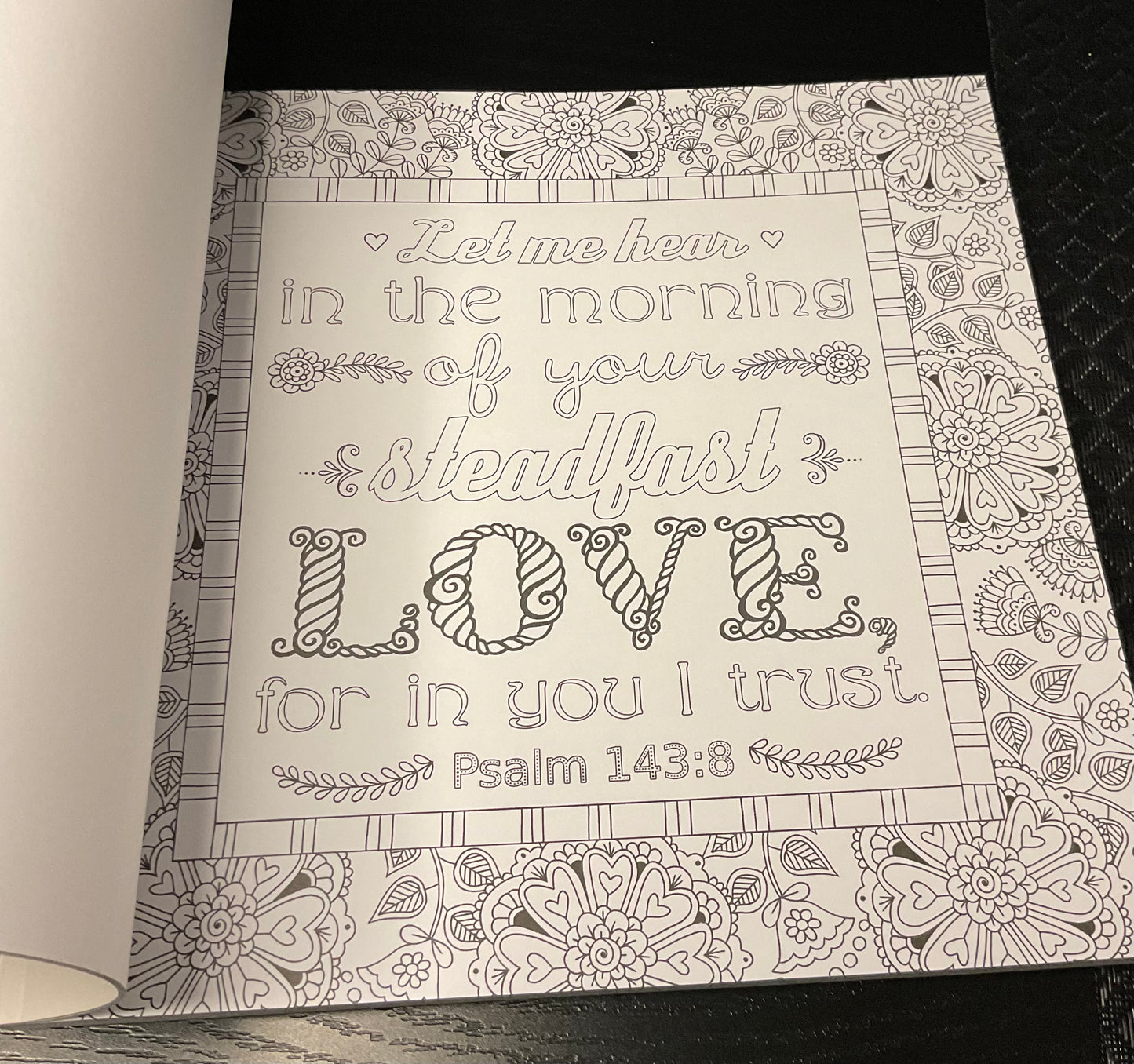 PSALMS COLORING BOOK & WATERCOLOR PENCILS